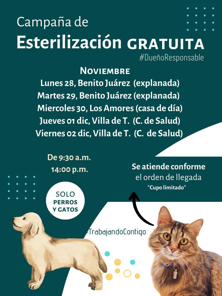 Campaña de esterilización gratuita de noviembre de 2022