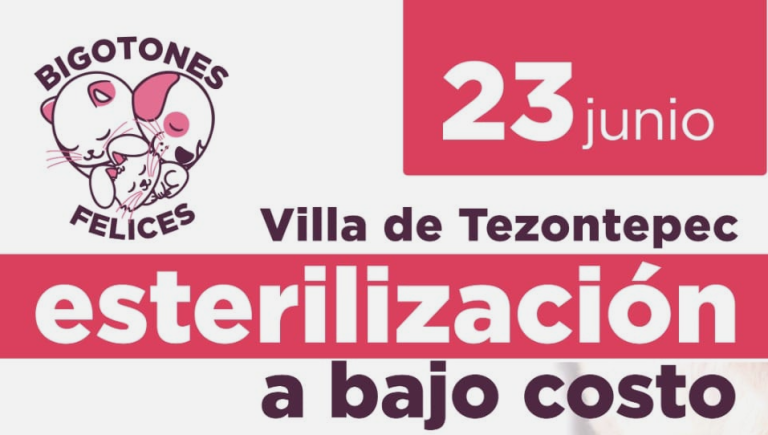 Campaña de esterilización de bajo costo en la Colonia Benito Juárez el 23 de junio de 2022