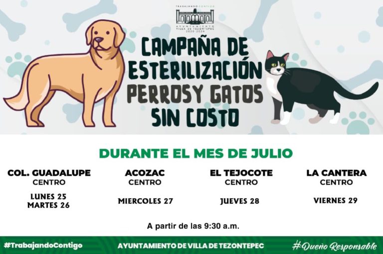 Campaña de Esterilización en Villa de Tezontepec del 25 al 29 de julio de 2022