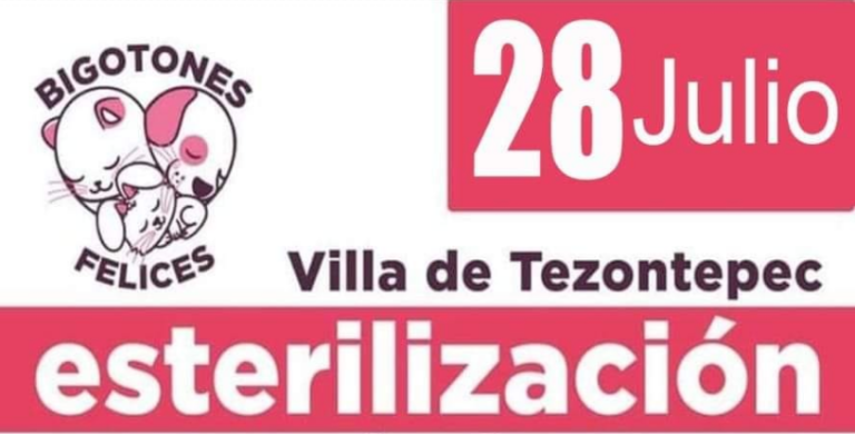 Campaña de esterilización de bajo costo en la Colonia Benito Juárez el 28 de julio de 2022