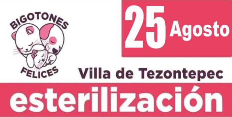 Campaña de esterilización de bajo costo en la Colonia Morelos el 25-08-2022
